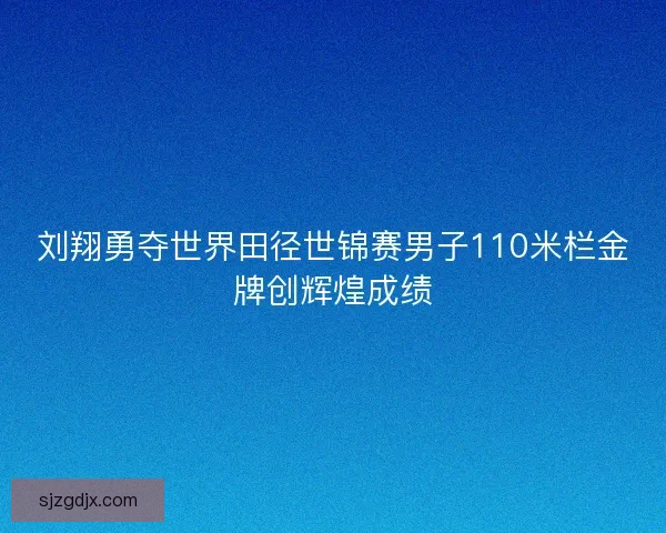 刘翔勇夺世界田径世锦赛男子110米栏金牌创辉煌成绩