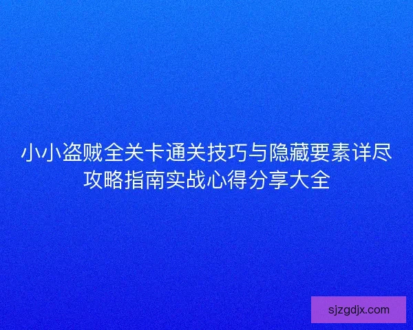 小小盗贼全关卡通关技巧与隐藏要素详尽攻略指南实战心得分享大全